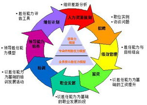 如何理解战略人力资源规划的五个维度